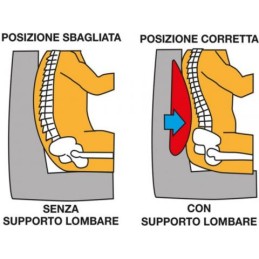 Cuscino con supporto \nlombare | Topgear.it