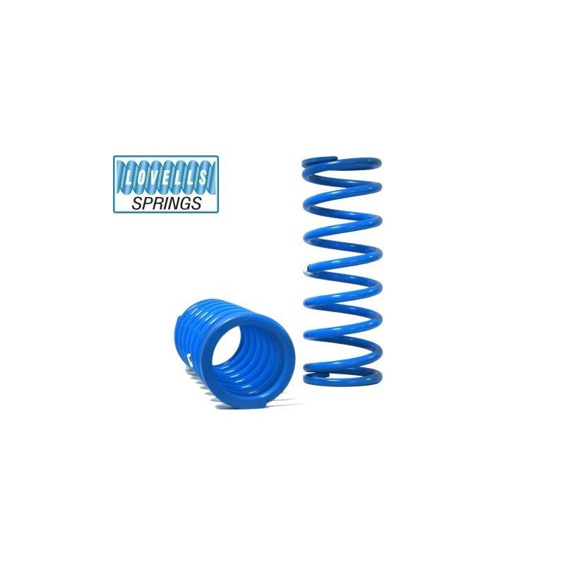 Land Rover Discovery 2 \nMolle Rialzo Posteriore | Topgear.it