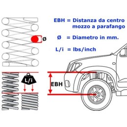 Land Rover Discovery 2 \nMolle Rialzo Posteriore | Topgear.it