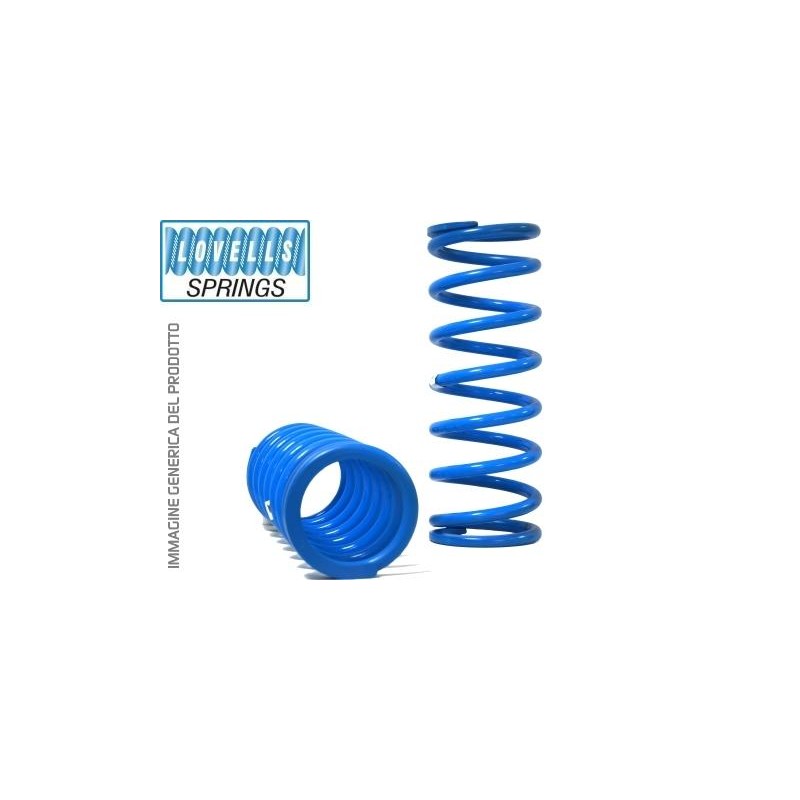 Mitsubishi Pajero V80 5P. \nMolle Standard Posteriore | Topgear.it