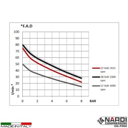 Compressore aria 24V  Nardi Silverstone 2 120 l/m con serbatoio ari...