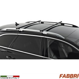 Barre portatutto VIVA 1 - 135 cm | Topgear.it